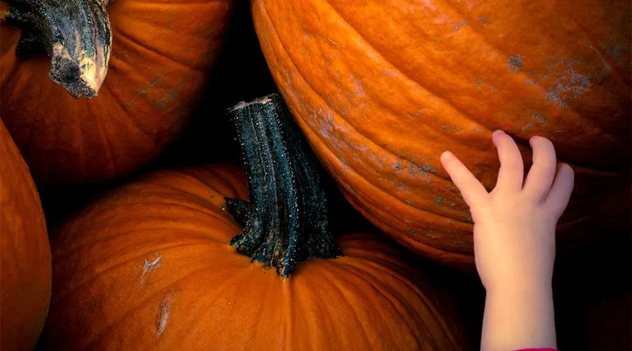 COISAS ASSUSTADORAS PARA O HALLOWEEN 2020 NOS ESTADOS UNIDOS