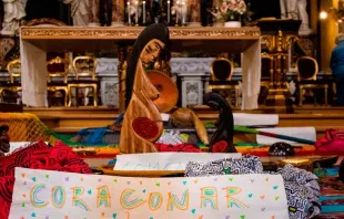 A imagem amazônica na igreja de Santa Maria em Traspontina. Crédito: ACI Prensa