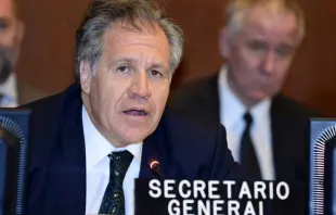 Luis Almagro, secretário geral da OEA.