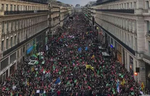 Uma multidão saiu às ruas da França em 19 de janeiro para se manifestar pela paternidade e contra a fecundação assistida. Crédito: Facebook La Manif pour tous