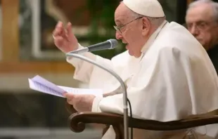 Papa Francisco na audiência de hoje no Vaticano