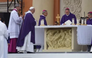 O Santo Padre durante a Missa celebrada em Carpi.