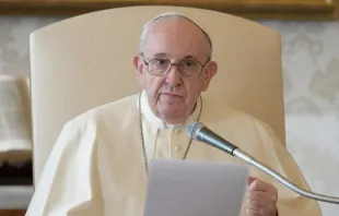 O Papa Francisco na audiência geral na biblioteca.