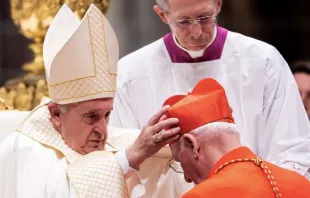 Imagem referencial. Papa Francisco no consistório de 2019.