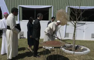 Papa Francisco planta uma árvore de baobá em Madagascar.