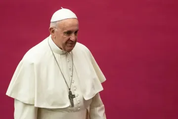 PapaFrancisco_fondotinto_DanielIbanYezACI.jpg