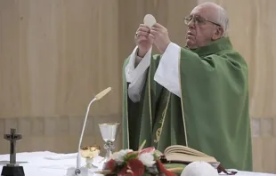 Papa durante a Missa.