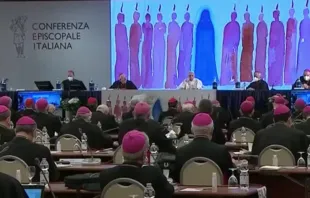 O Papa na Assembleia Geral da CEI. Captura de foto.