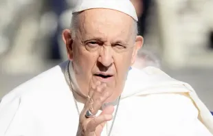 Papa Francisco na Audiência de hoje (24