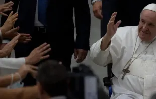 Papa Francisco.