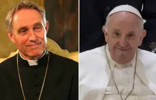 Dom Georg Gänswein - Papa Francisco