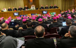 Papa Francisco na Aula Sinodal.