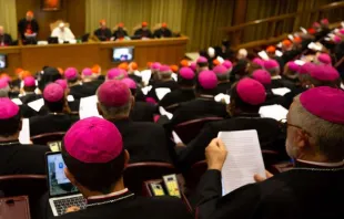 Assembleia do Sínodo dos Bispos sobre a Amazônia.